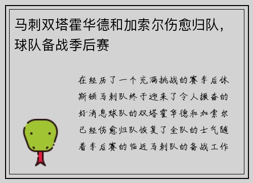 马刺双塔霍华德和加索尔伤愈归队，球队备战季后赛